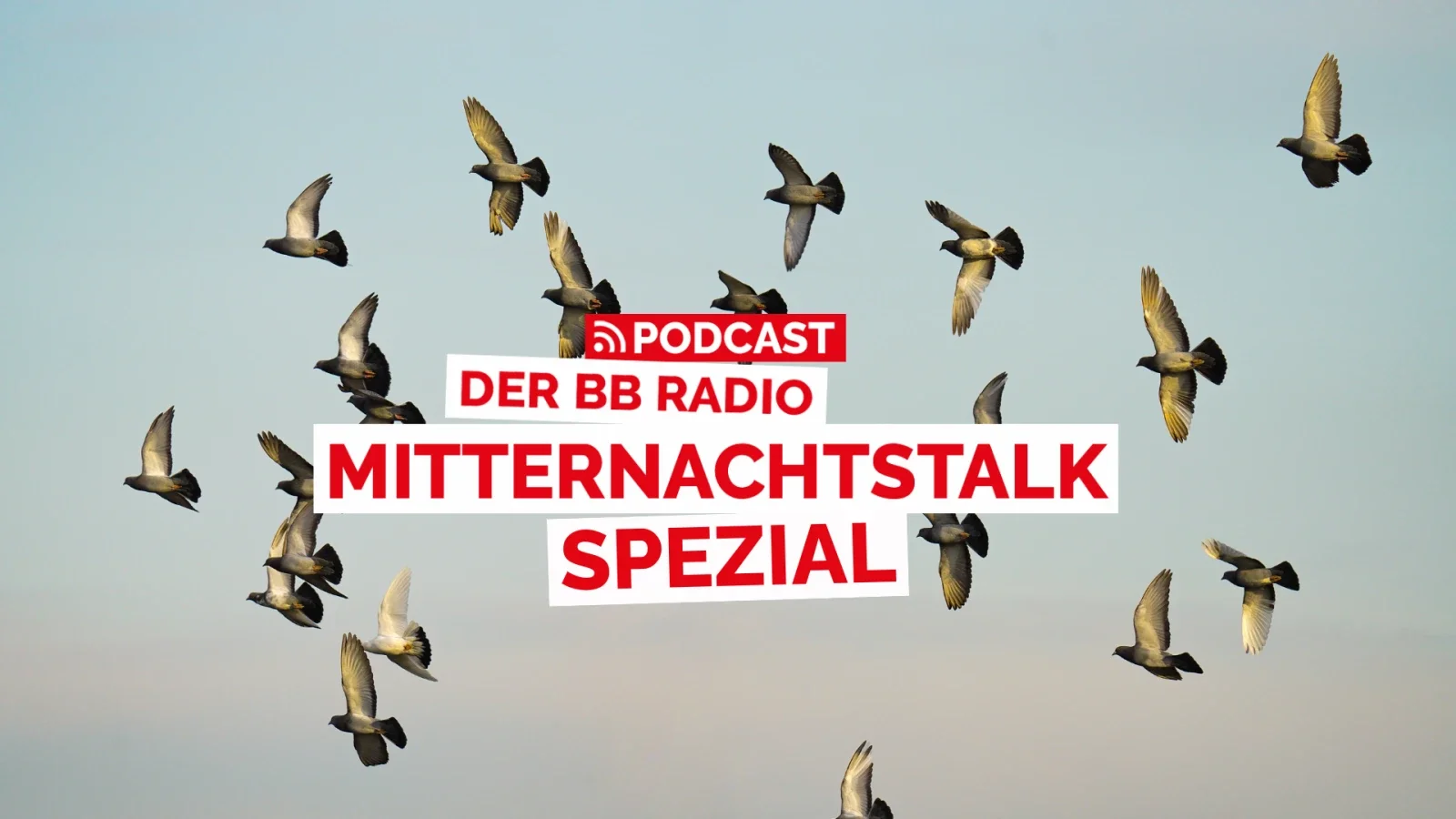 BB RADIO Mitternachtstalk: Privatdetektive aus Perleberg